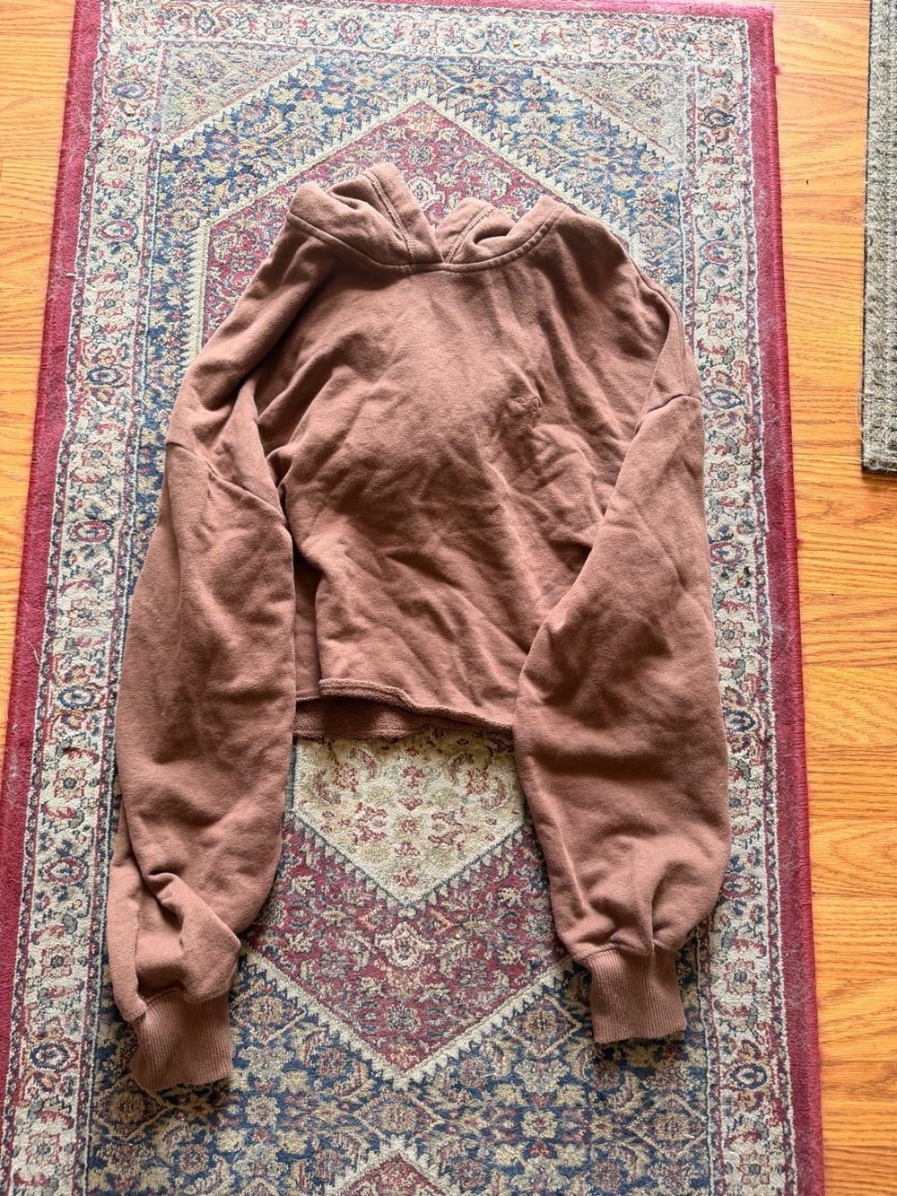 Women's Hollister Cropped Hoodie Sweater - Brown